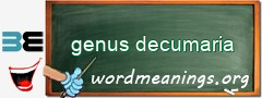 WordMeaning blackboard for genus decumaria